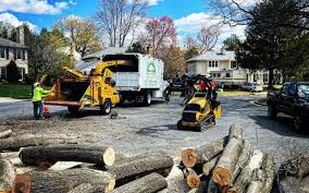 Lawn Grading and Leveling in Groveland, FL